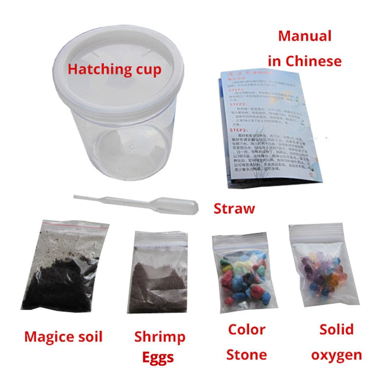 Magic ground killifish Egg in soil Hatching earth real fish Pet