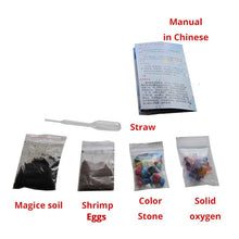 Load image into Gallery viewer, Magic ground killifish Egg in soil Hatching earth real fish Pet Biology Educational Learning Toys for Student Kid Boy Girl Gift
