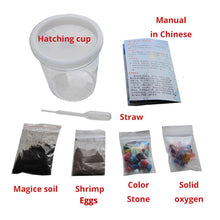 Load image into Gallery viewer, Magic ground killifish Egg in soil Hatching earth real fish Pet Biology Educational Learning Toys for Student Kid Boy Girl Gift